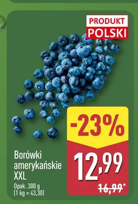 Borówki amerykańskie XXL promocja w Aldi