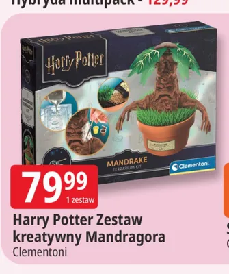 Harry Potter Zestaw kreatywny Mandragora Clementoni promocja w Leclerc