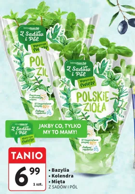 Zioła polskie mięta promocja w Intermarche