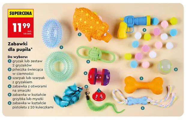 Zabawki dla pupila promocja w Biedronka