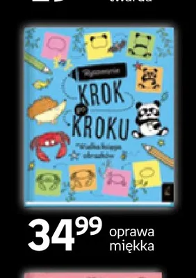 Książka Rysowanie krok po kroku Wilga promocja w Empik