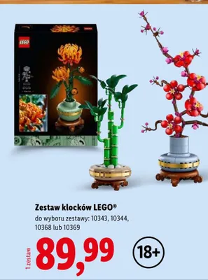 Zestaw klocków LEGO 10343 promocja w Lidl