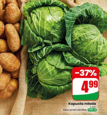 Ziemniaki wczesne promocja w Dino