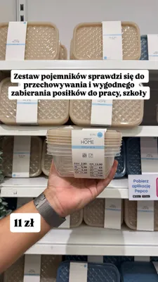 Zestaw pojemników Pepco Home Fresh Box promocja w Pepco