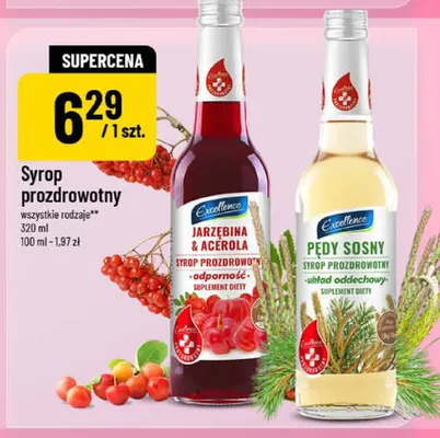 Syrop prozdrowotny jarzębina i acerola Excellence promocja w POLOmarket