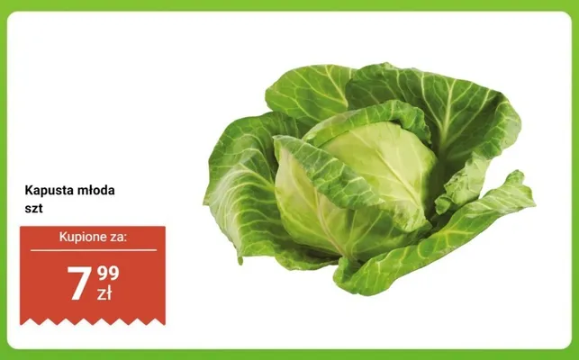 Kapusta młoda promocja w Dino
