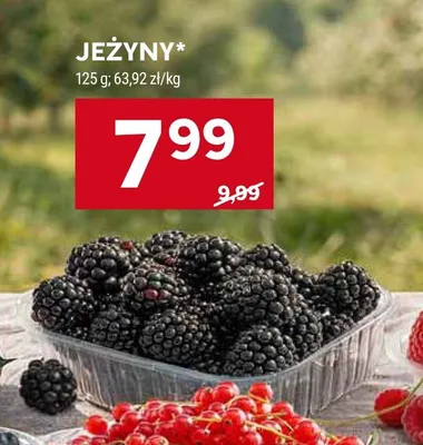 Jeżyny promocja w Stokrotka