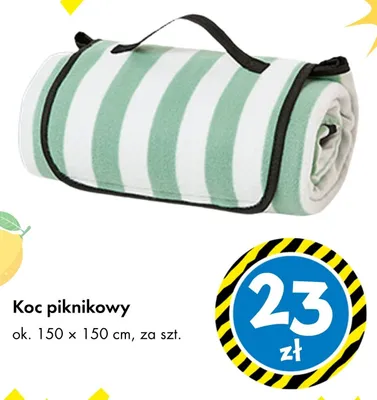 Koc piknikowy ok. 150x150 cm promocja w Tedi