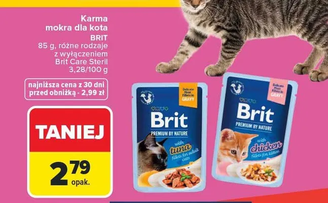 Karma mokra dla kota BRIT 85 g promocja w Carrefour