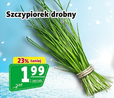 Szczypiorek drobny promocja w Prim Market