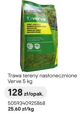 Trawa tereny nasłonecznione promocja w Castorama