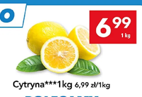 Cytryna promocja w LEWIATAN