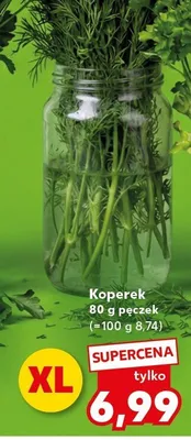Koperek pęczek promocja w Kaufland