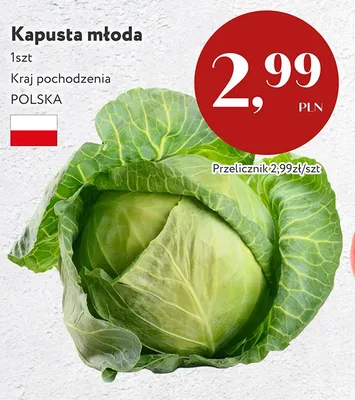 Kapusta młoda polska promocja w Market Point