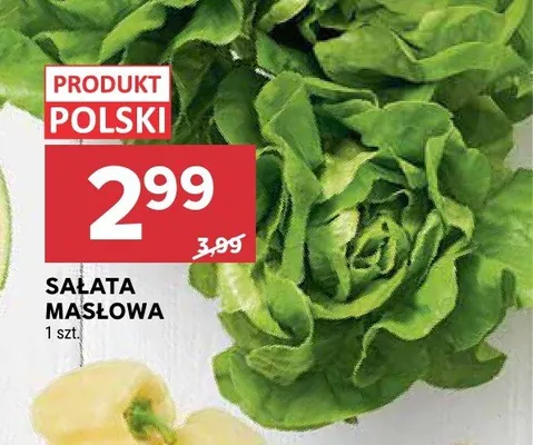 Sałata masłowa promocja w Stokrotka