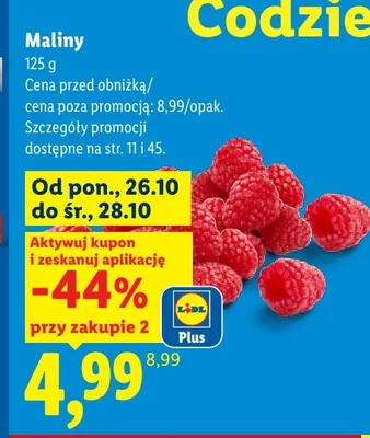 Maliny promocja w Lidl