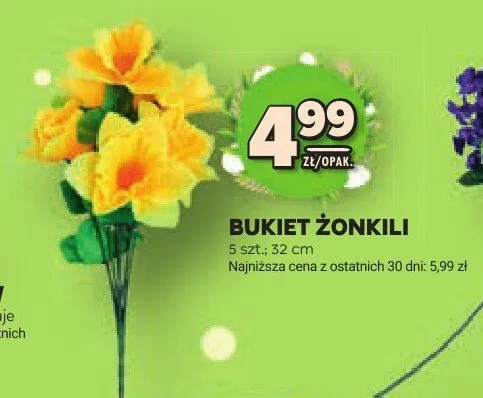Bukiet żonkili 5szt. 32cm promocja w Stokrotka