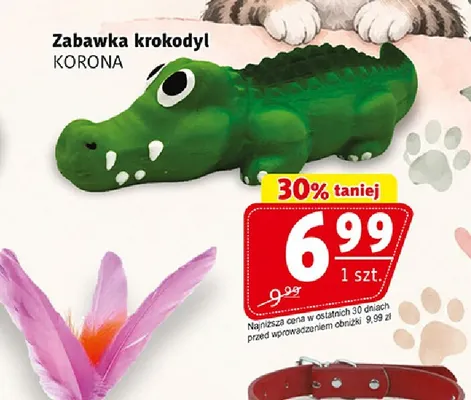 Zabawka krokodyl Korona promocja w Prim Market