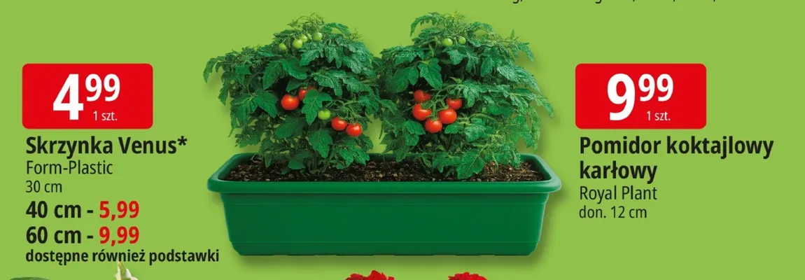 Skrzynka Venus Form-Plastic promocja w Leclerc