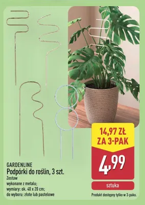 Podpórki do roślin, 3 szt. promocja w Aldi