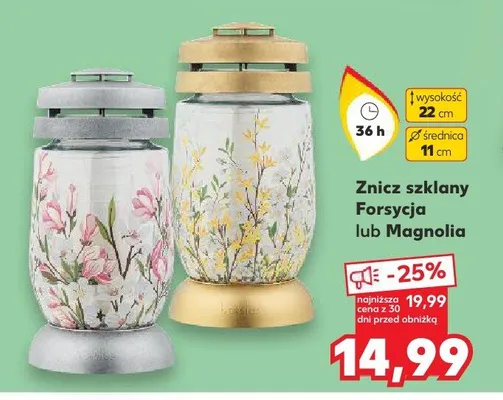 Znicz szklany Forsycja lub Magnolia promocja w Kaufland