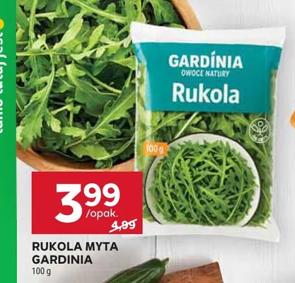 Rukola myta Gardinia promocja w Stokrotka