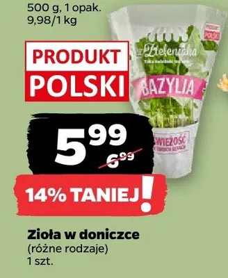 Zioła w doniczce (różne rodzaje) promocja w Netto