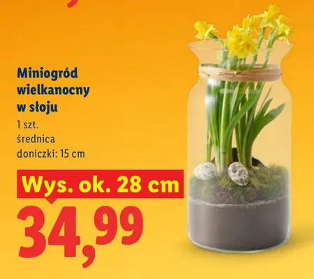 Miniogród wielkanocny w słoju promocja w Lidl