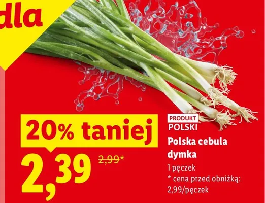 Cebula dymka polska promocja w Lidl