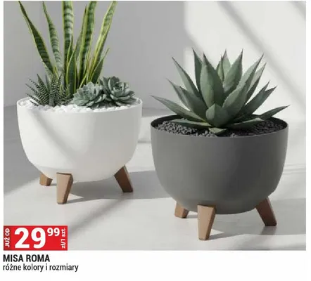 Misa Roma promocja w Merkury Market