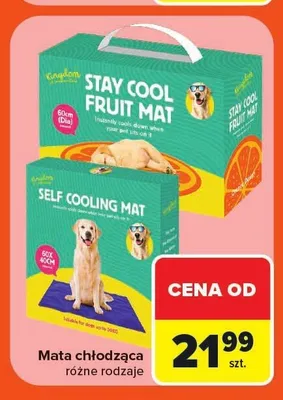 Mata chłodząca dla psa i kota promocja w Carrefour Market