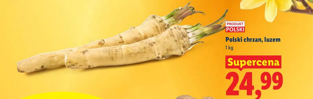 Chrzan luzem promocja w Lidl