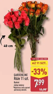 Róże 11 szt. Bukiet różne kolory promocja w Aldi