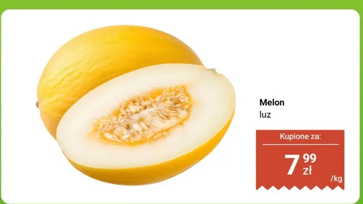 Melon luz promocja w Dino