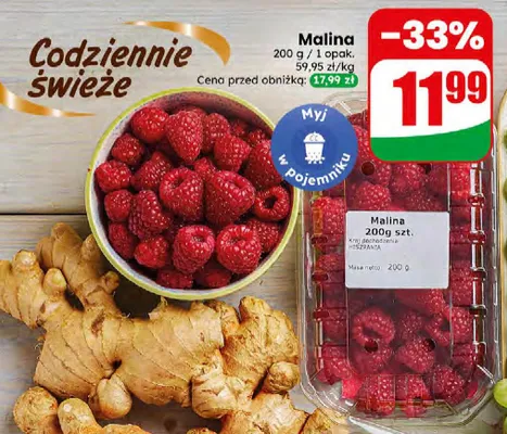 Malina promocja w Dino