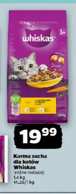 Karma sucha dla kotów Whiskas z kurczakiem promocja w Netto