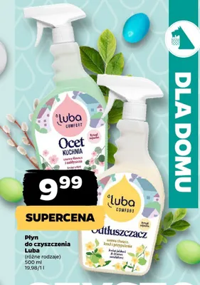 Płyn do czyszczenia promocja w Netto