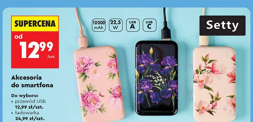 Powerbank Setty 10000mAh promocja w Biedronka