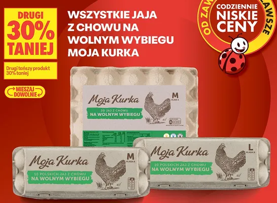 Jaja z chowu na wolnym wybiegu Moja Kurka M 10szt. promocja w Biedronka