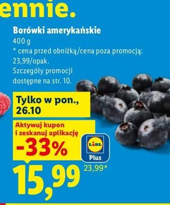 Borówki amerykańskie promocja w Lidl