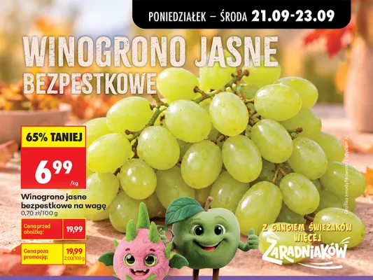 Winogrona jasne bezpestkowe promocja w Biedronka