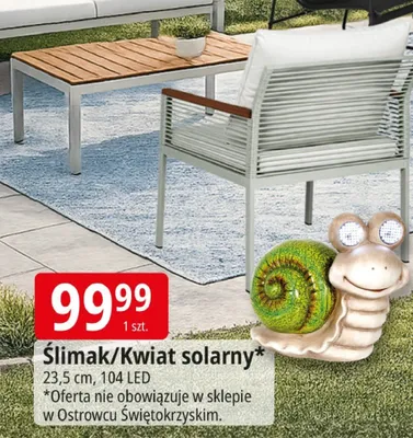 Ślimak/Kwiat solarny promocja w Leclerc