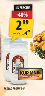 Wkład Płomyk 4 promocja w Arhelan