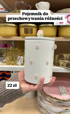 Pojemnik do przechowywania w kwiaty promocja w Pepco