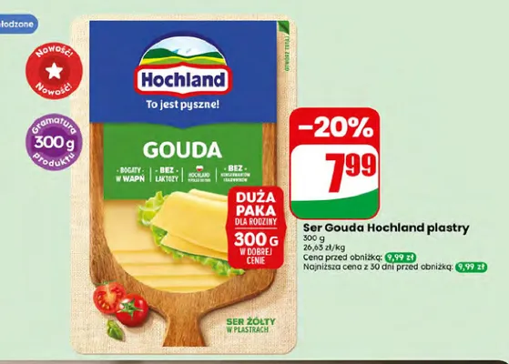 Ser Gouda Hochland plastry promocja w Dino