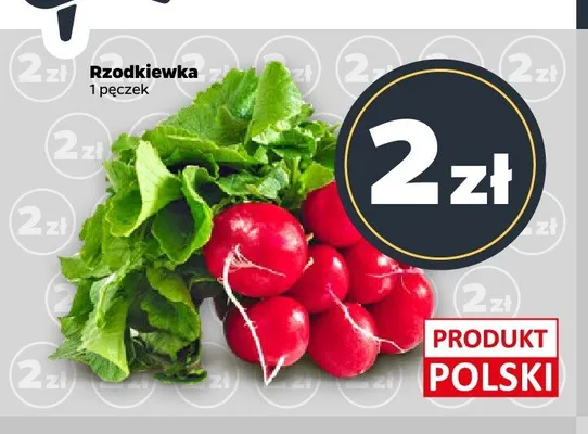 Rzodkiewka polska promocja w Netto