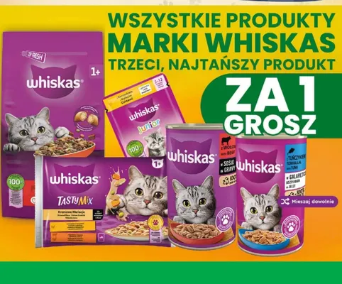 Karma dla kota Whiskas z tuńczykiem w galaretce promocja w Dino