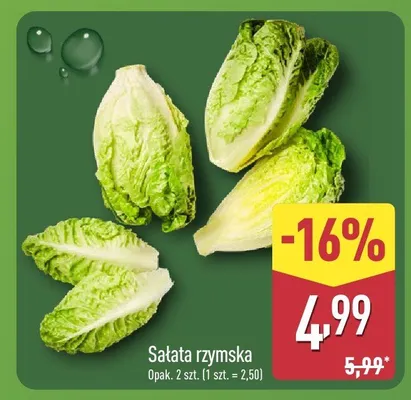 Sałata rzymska Gobio promocja w Aldi