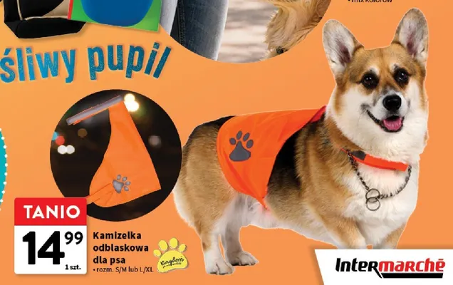 Kamizelka odblaskowa dla psa Kingdom promocja w Intermarche