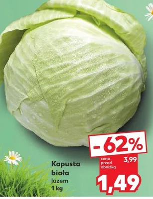 Kapusta biała luzem promocja w Kaufland